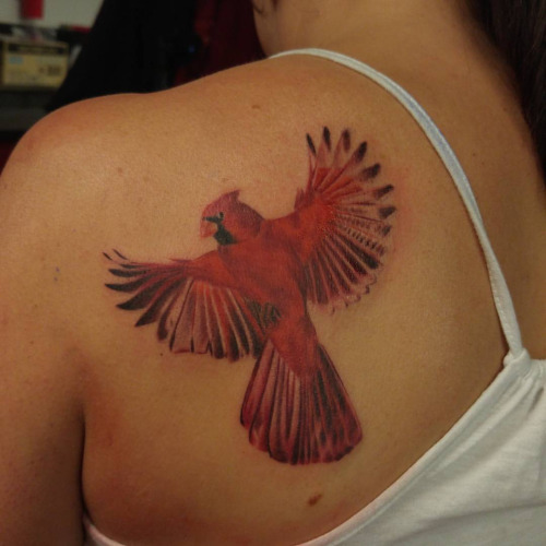Left Back Shoulder Red Ink Cardinal Tattoo For Girls