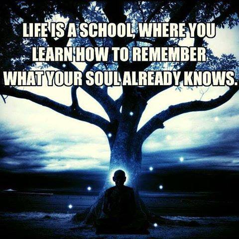 Life is a school, where you learn how to remember what your soul already knows.