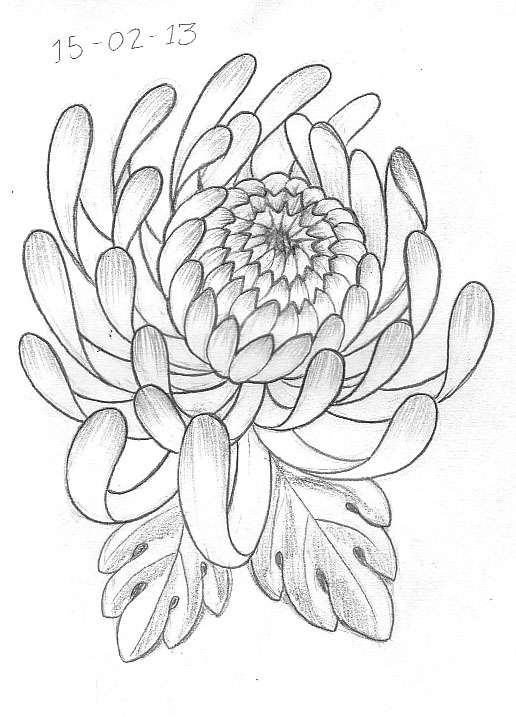 Memorial Chrysanthemum Tattoo Design