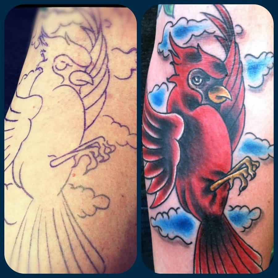 Nice Cardinal Bird In Air Tattoo Design