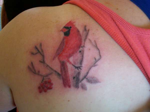 Nice Cardinal Tattoo On Girl Left Back Shoulder