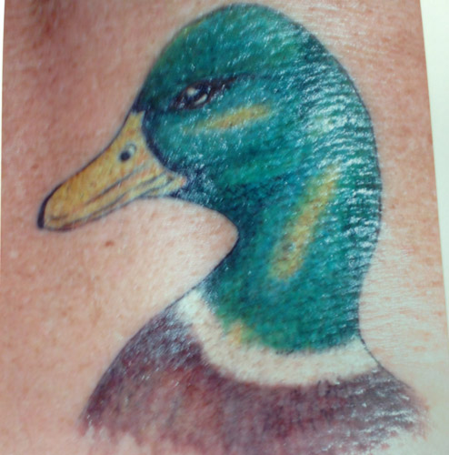Nice Color Duck Head Tattoo