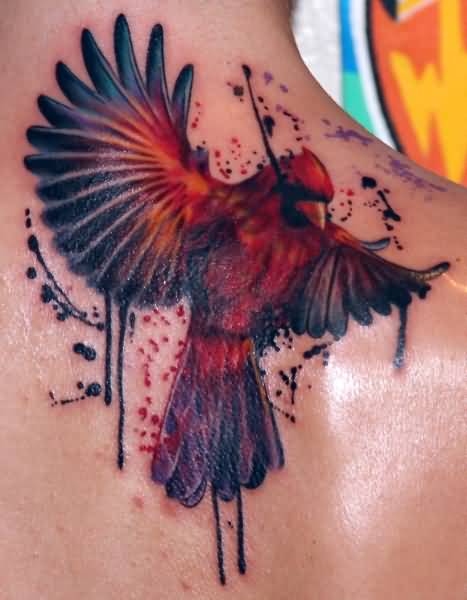 Red And Black Flying Cardinal Tattoo On Right Back Shoulder