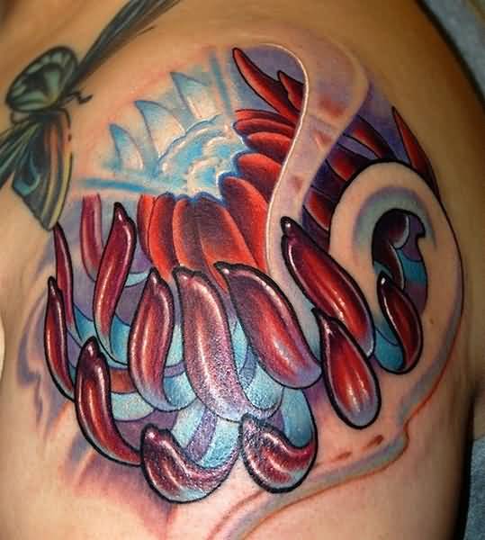 Red And Blue Ink Chrysanthemum Tattoo On Shoulder