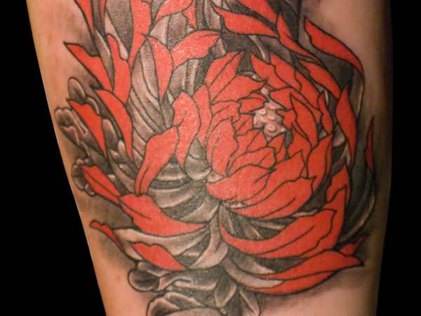 Red And Grey Ink Chrysanthemum Tattoo