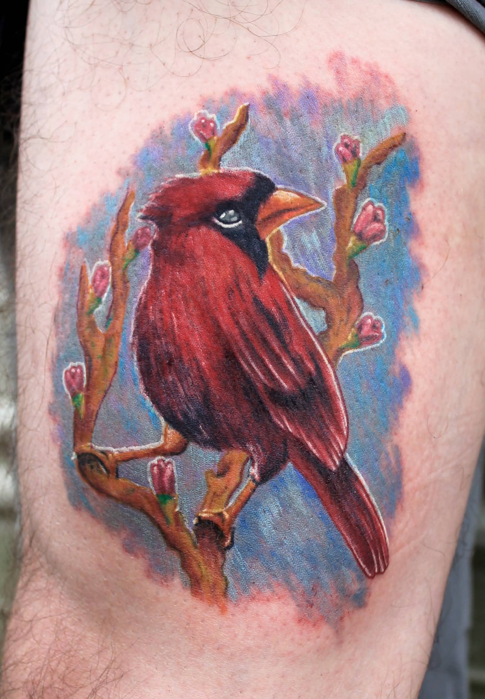 Red Cardinal Tattoo On Bicep