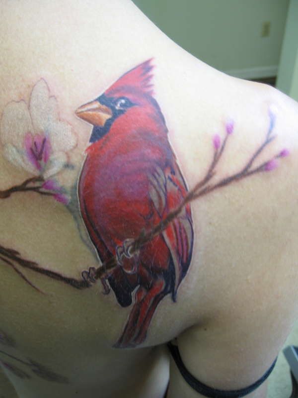 Red Ink Cardinal Tattoo On Right Back Shoulder