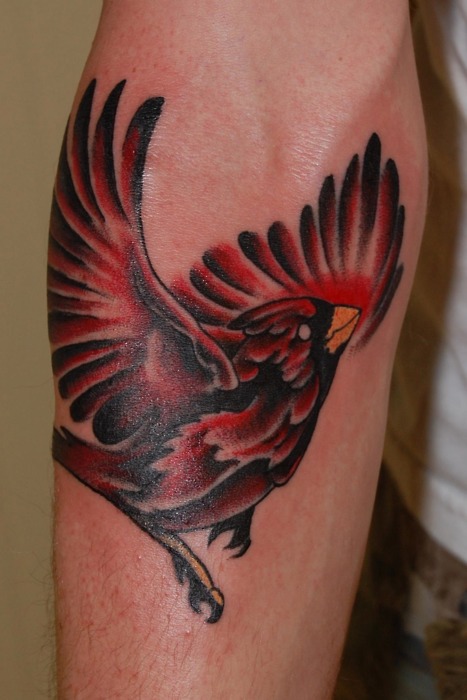 Red Ink Flying Cardinal Tattoo On Right Arm