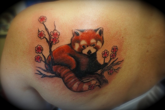Red Panda Tattoo On Left Back Shoulder