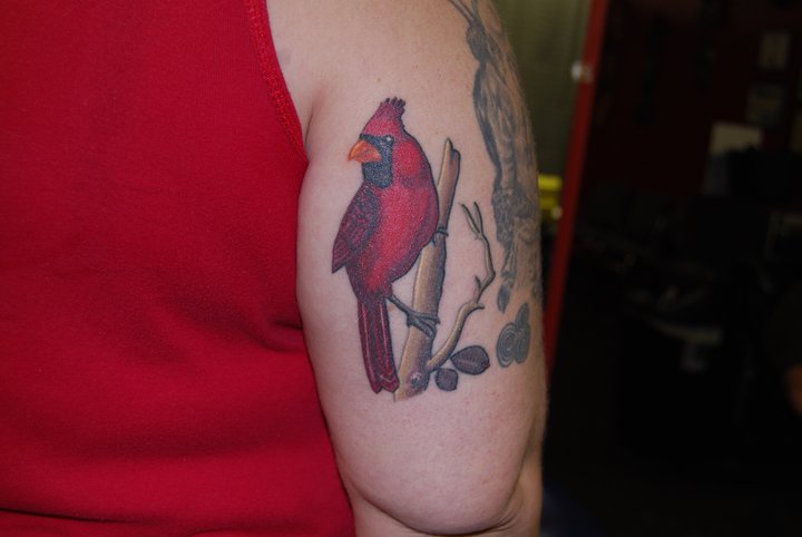 Right Bicep Cardinal Bird Tattoo