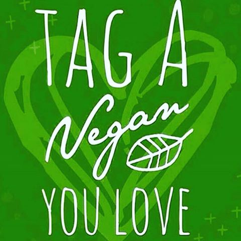 Tag A Vegan You Love World Vegan Day Picture For Facebook