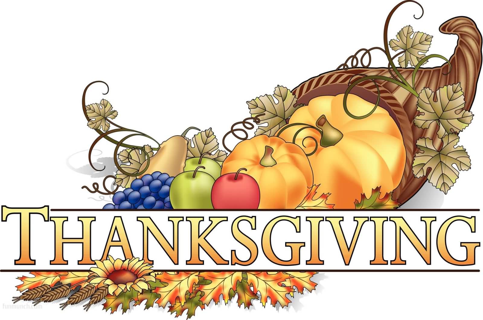 Thanksgiving Day Fruits Illustration