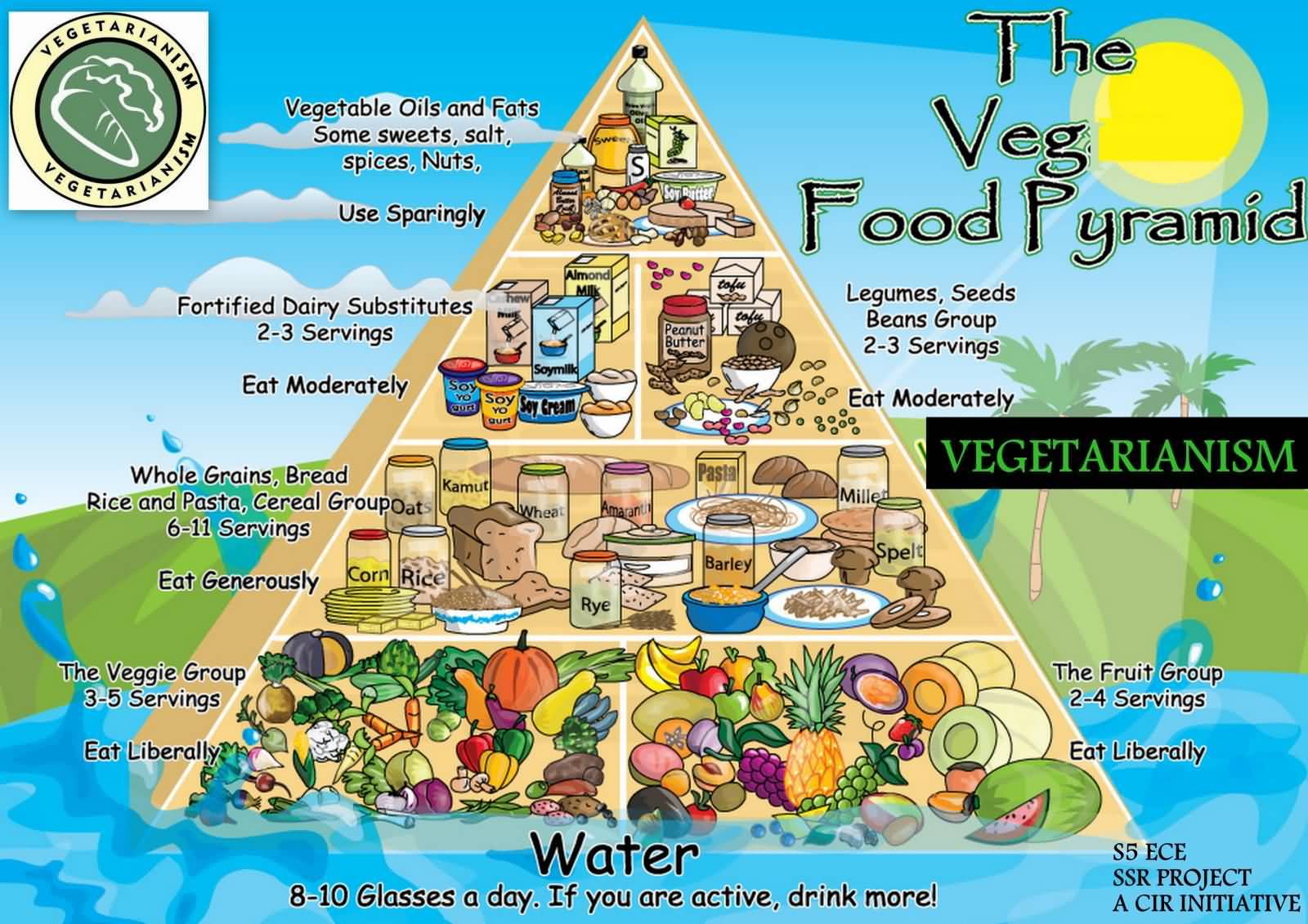 The Veg Food Pyramid Happy World Vegan Day