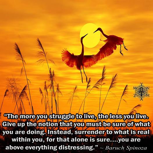 The more you struggle to live, the less you live. Give up the notion that you must be sure of what you are doing. Instead, surrender to what is real within you, for that alone is sure….you are above everything distressing.