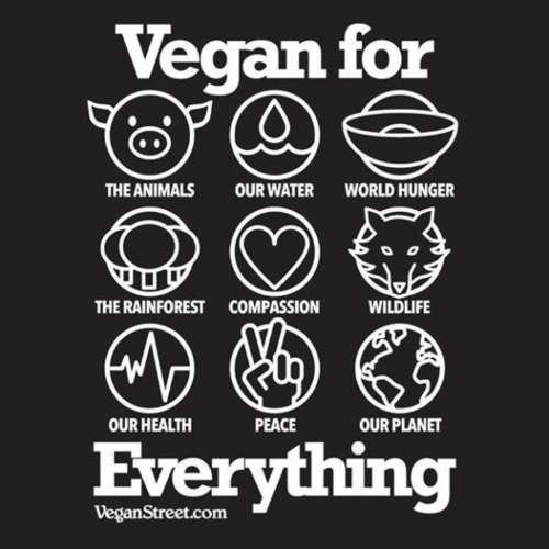 Vegan For Everything World Vegan Day