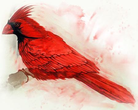 Watercolor Cardinal Bird Tattoo Design