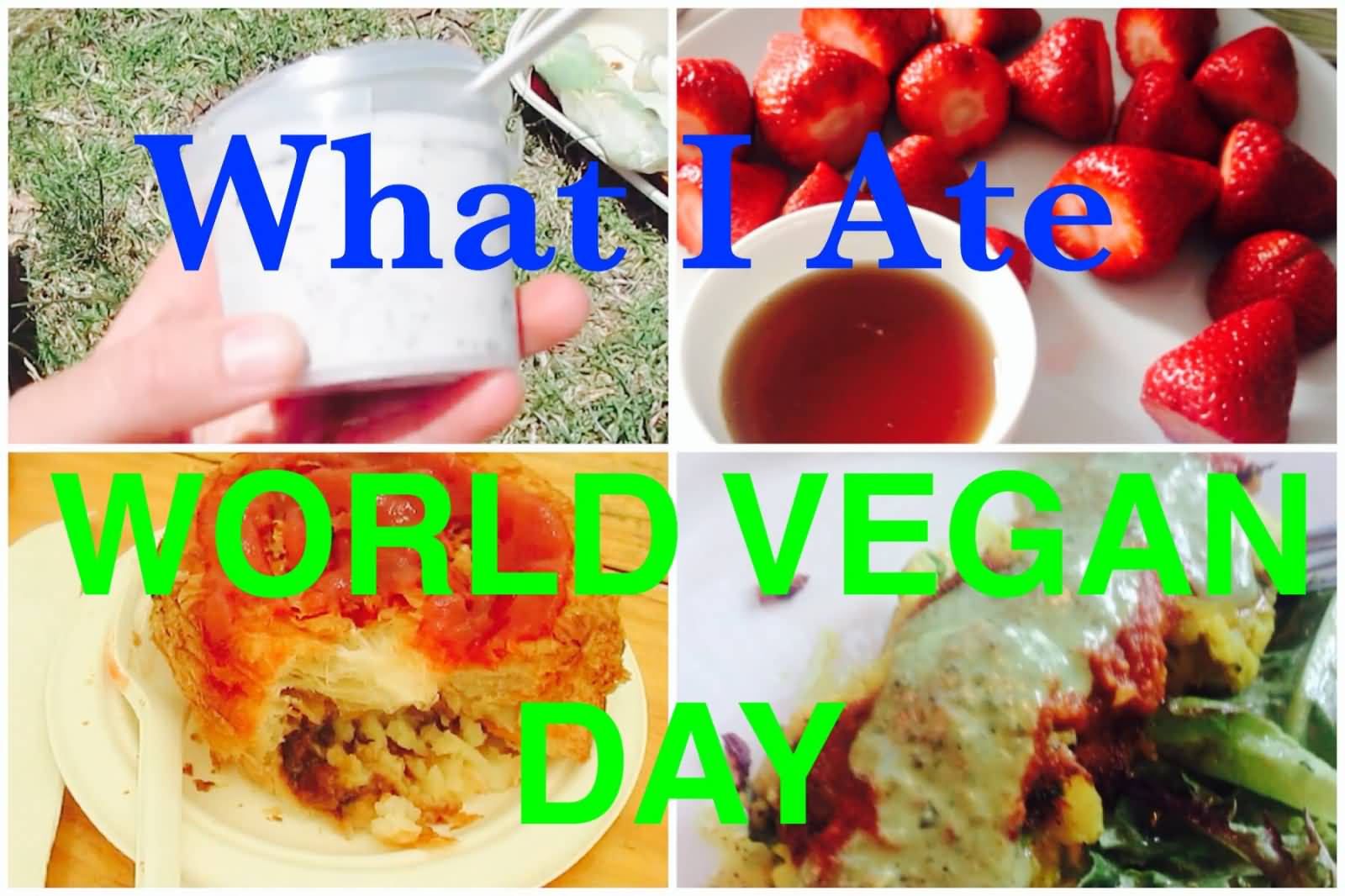 What I Ate World Vegan Day