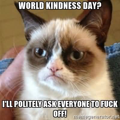 World Kindness Day I'll Politely Ask Everyone To Fuck Off Cat Meme