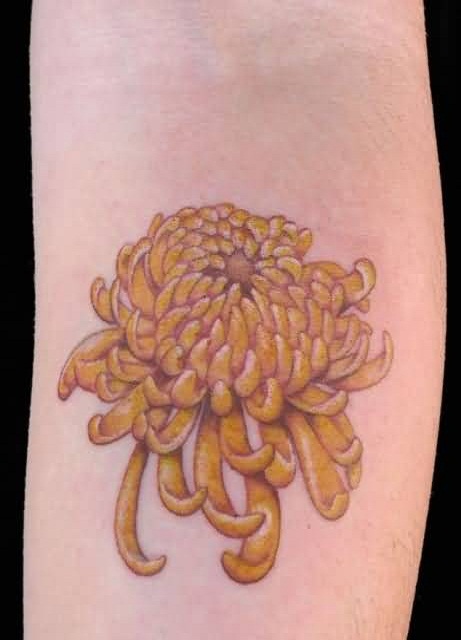Yellow Chrysanthemum Flower Tattoo On Forearm