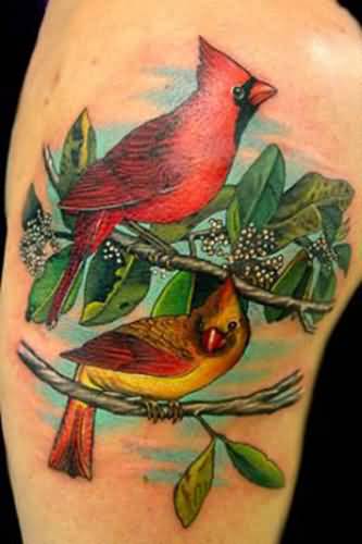 Yellow and Red Cardinal Tattoos Design