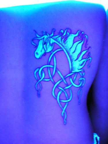 Celtic Horse Black Light Tattoo On Right Back Shoulder