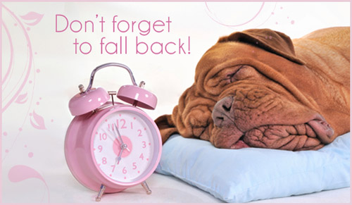 Dont' Forget To Fall Back Daylight Saving Time Ends Sleeping Dog Picture