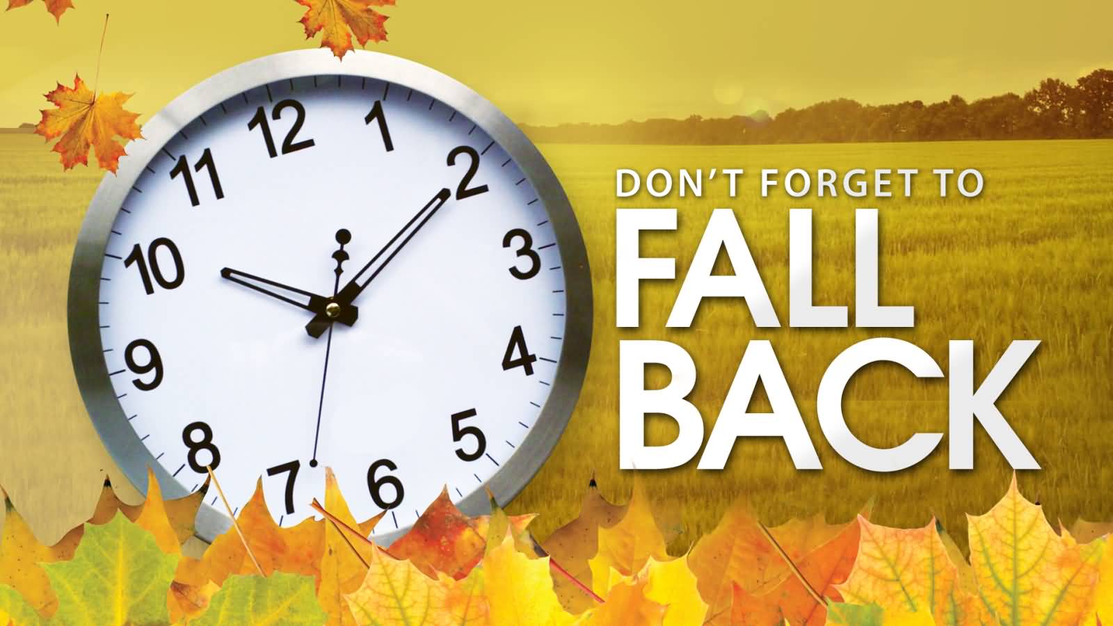 Don't Forget To Fall Back It's Daylight Saving Time Ends Day