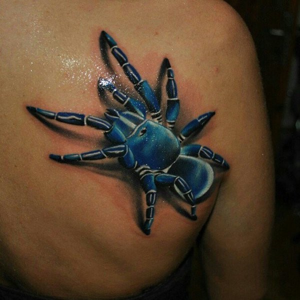 3D Blue Arachnids Tattoo On Right Back Shoulder