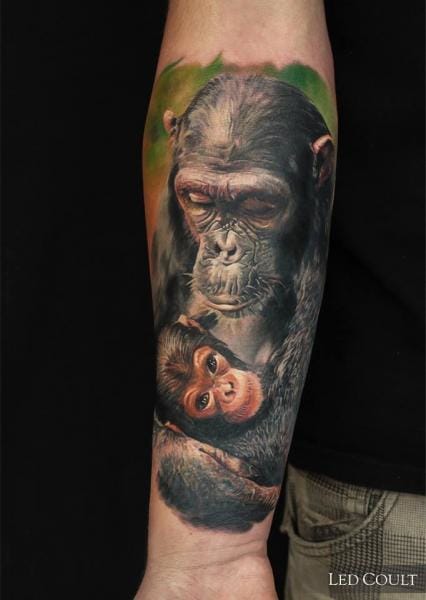 Amazing Mother Chimpanzee With Baby Chimpanzee Tattoo On Forearm by Led Coult