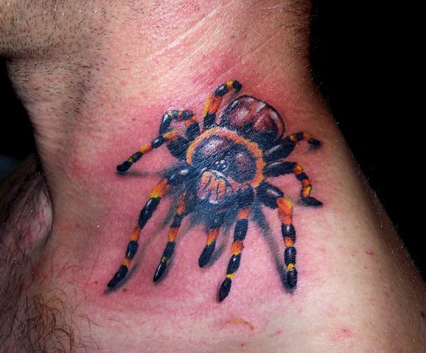 Arachnid Tattoo On Man Upper Shoulder
