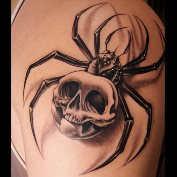 Arachnids Spider Tattoo On Left Shoulder