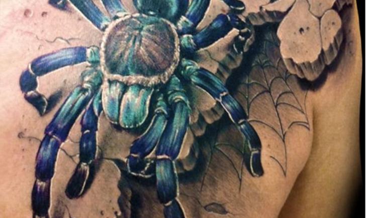 Arachnids Tattoo On Man Chest