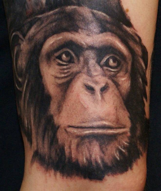 Black And Grey Chimpanzee Head Tattoo On Left Sleeve
