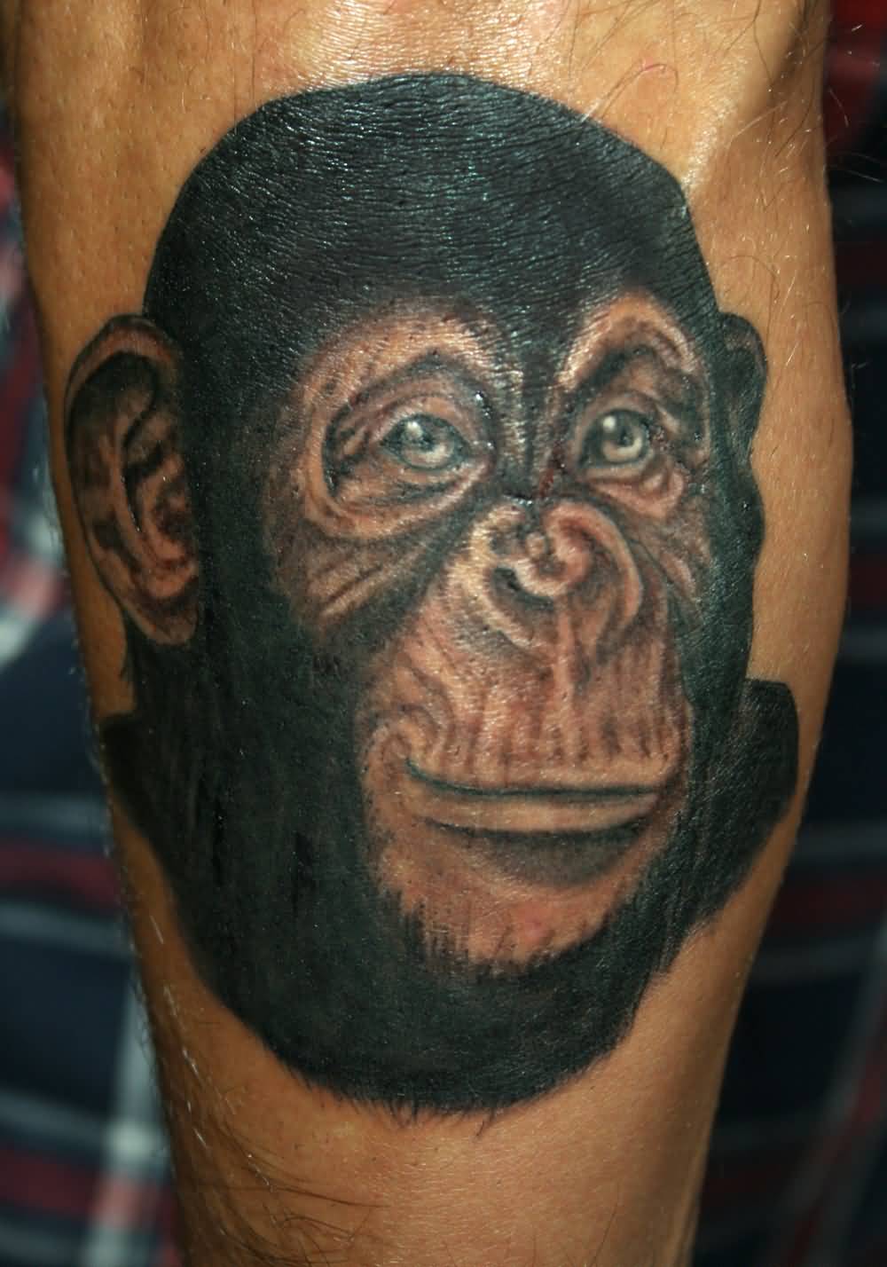 Black And Grey Chimpanzee Tattoo On Left Sleeve