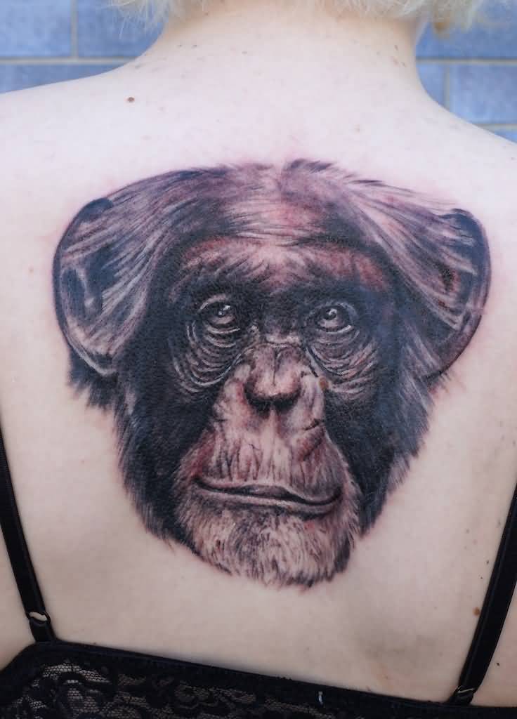 Black And Grey Chimpanzee Tattoo On Upper Back by Graynd