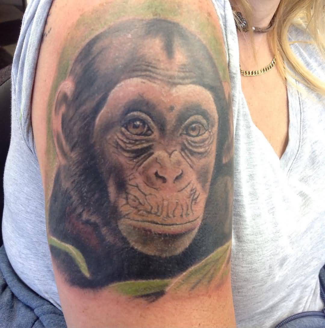Chimpanzee Tattoo On Girl Right Shoulder