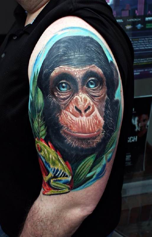 Color Ink Chimpanzee Head With Green Frog Tattoo On Man Left Half Sleeve