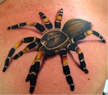 Colored Arachnids Tattoo On Back Shoulder