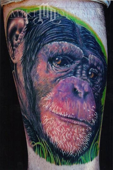 Colored Chimpanzee Head Tattoo by Mike Devries