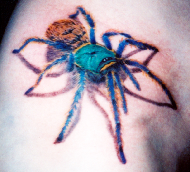 Colorful Arachnids Tattoo Design