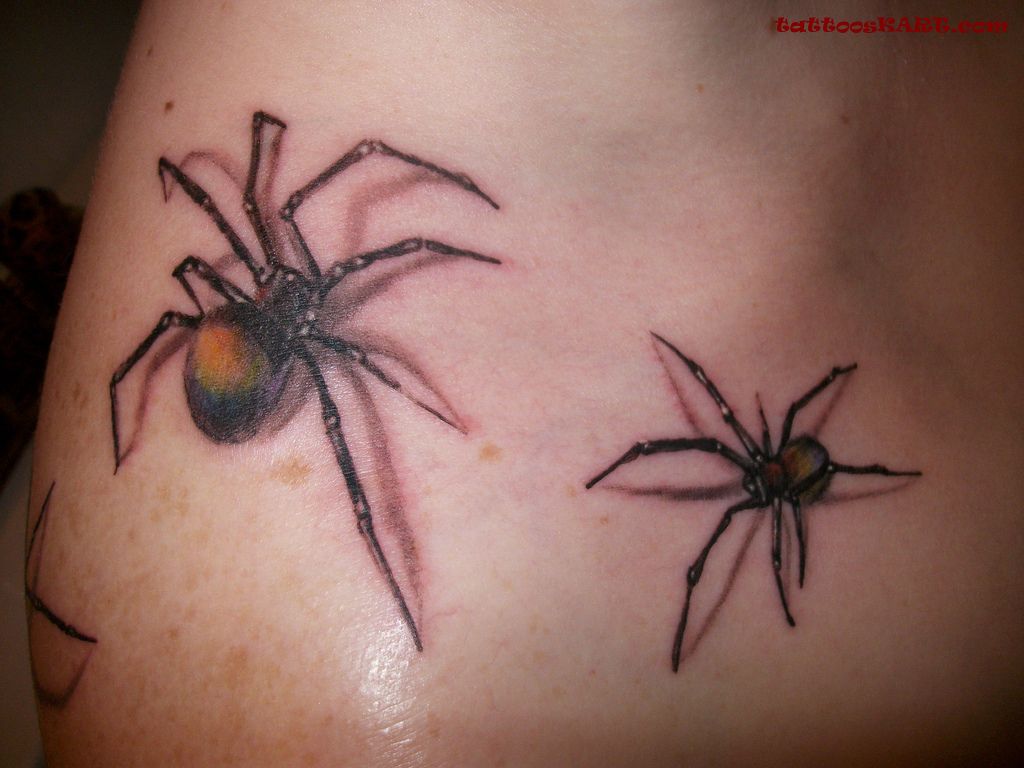Crawling Arachnids Tattoos