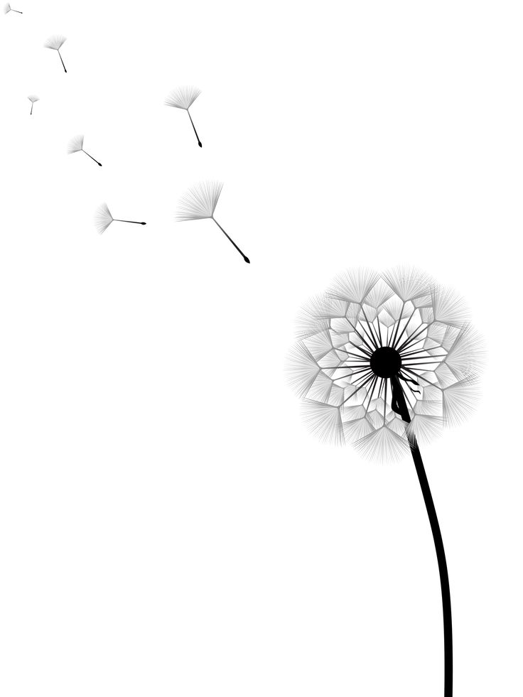 Dandelion Blowing From Puff In Star Shape Tattoo Design