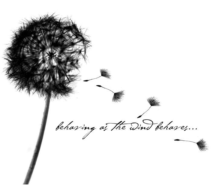 Dandelion Blowing From Puff In black Ink With Quote Design Tattoo