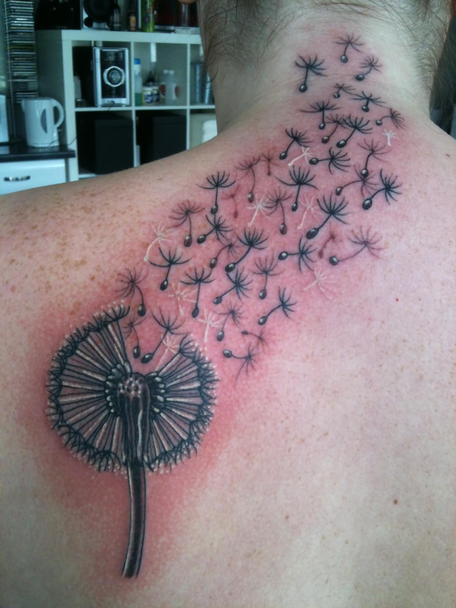 Dandelion Blowing From Puff With Red Background On Left Upper Back To Back Neck On Men