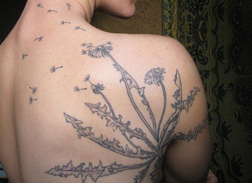 Dandelion Blowing From Puffs In Amazing Design On Right Shoulder To Neck