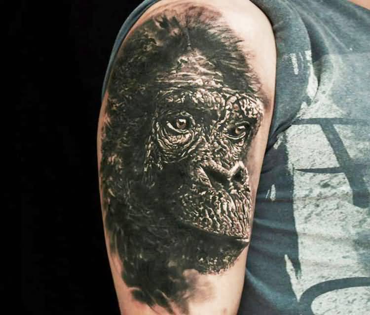 Dark Ink Chimpanzee Tattoo On Right Shoulder by Led Coult