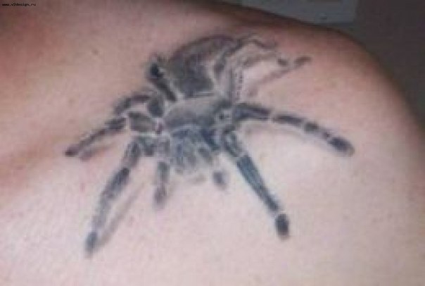 Grey Arachnids Tattoo