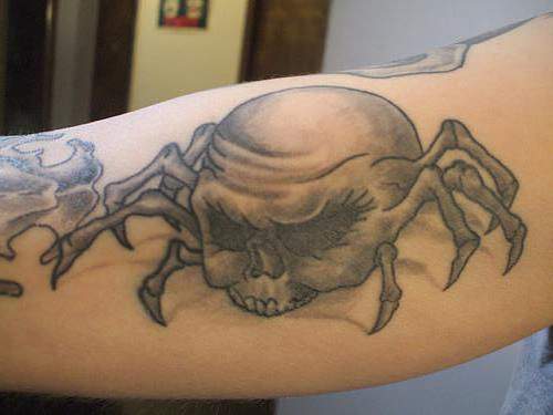 Grey Ink Arachnids Tattoo On Inner Bicep