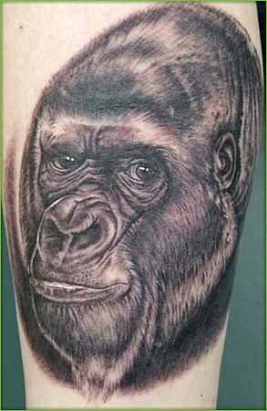 Grey Ink Chimpanzee Head Tattoo
