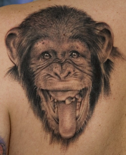 Grey Ink Chimpanzee Showing Tongue Tattoo On Left Back Shoulder